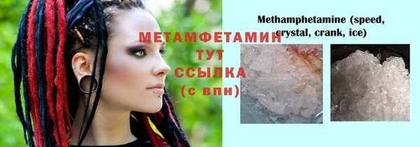 индика Мегион