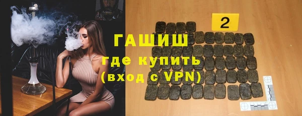 индика Мегион