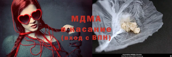 индика Мегион