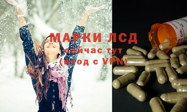 индика Мегион