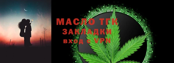 индика Мегион