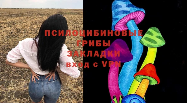 индика Мегион