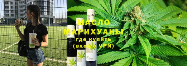 индика Мегион