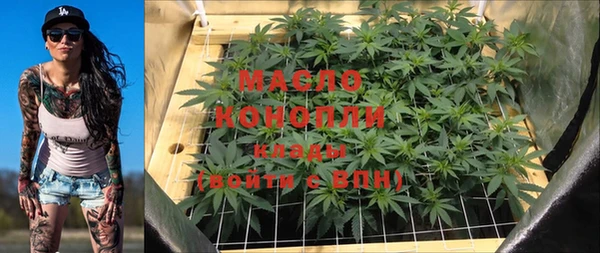 индика Мегион