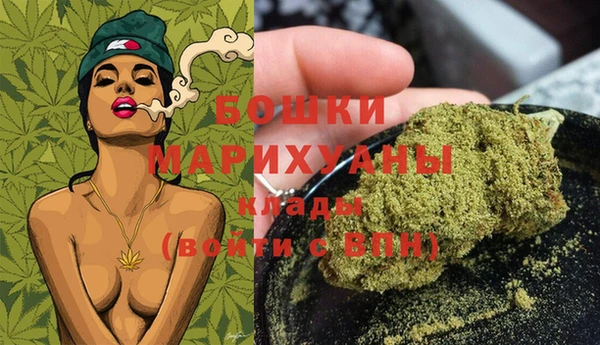 индика Мегион