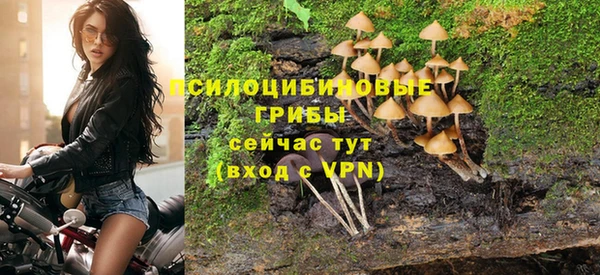 spice Медногорск