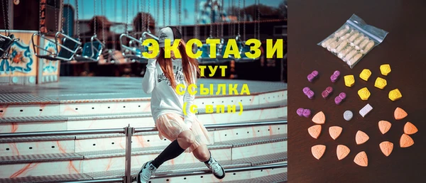 индика Мегион