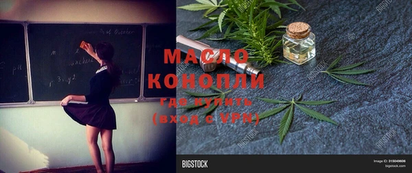 индика Мегион