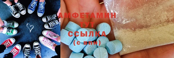 индика Мегион