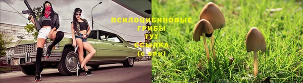 хмурый Медвежьегорск