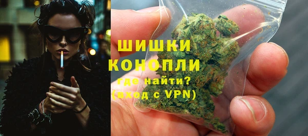 индика Мегион